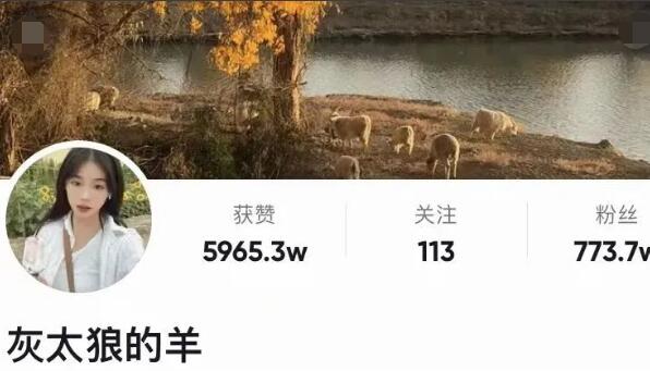 灰太狼的羊直播回放哪里看