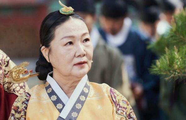 王后伞下大妃给的书籍有什么秘密