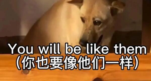 so you will be like them abandon me什么梗