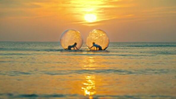 恋之月结局是he吗