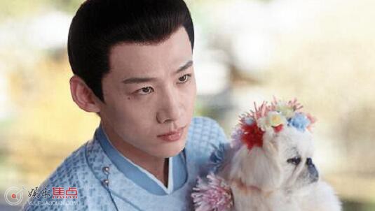 卿卿日常里的狗是什么品种