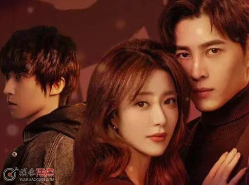 危险爱人人物关系