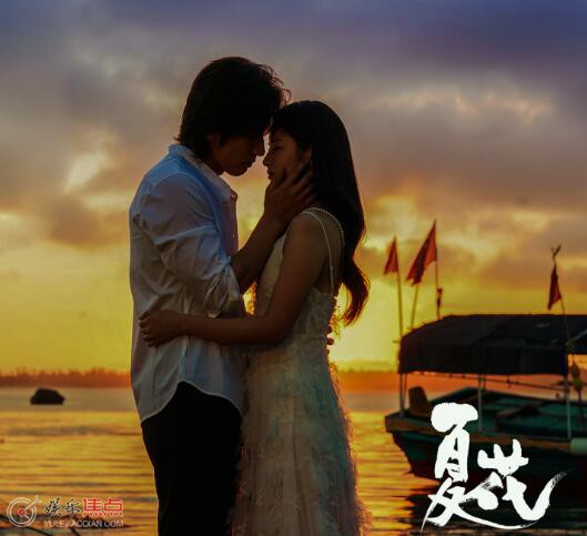 徐若晗什么来头