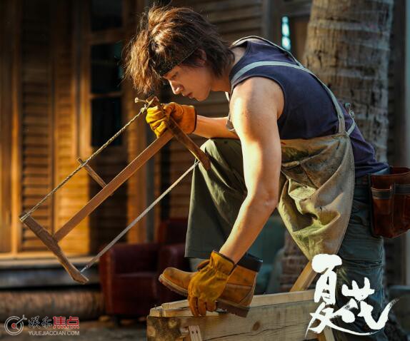 徐若晗什么来头