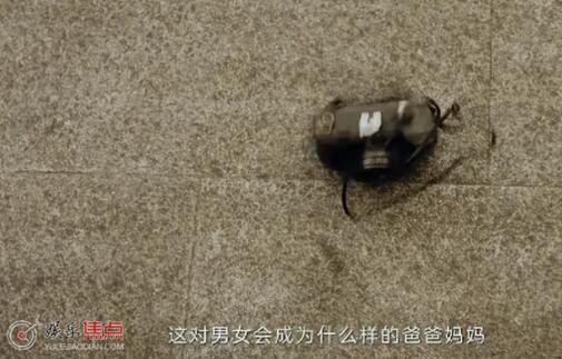 郑东霓方靖晖为什么离婚