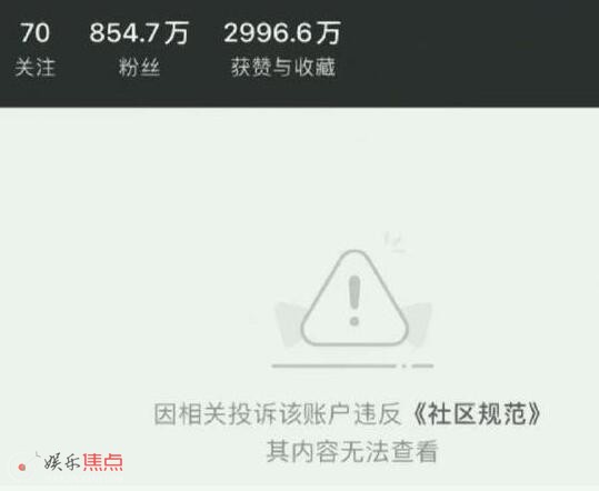 程十安软件为什么被封