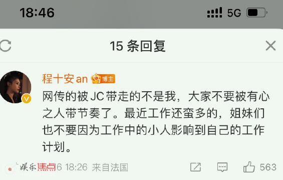 程十安软件为什么被封