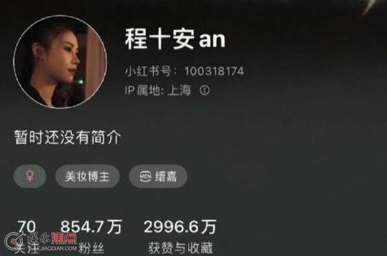 程十安软件为什么被封