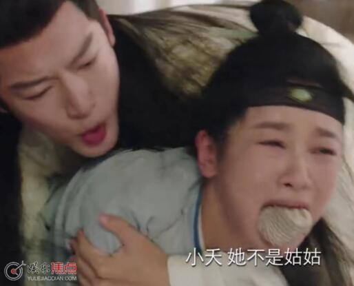 长相思阿念母亲是小夭母亲吗