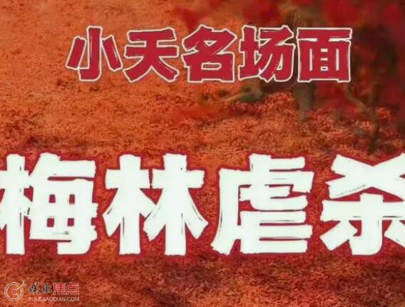 长相思梅林殉情第几集