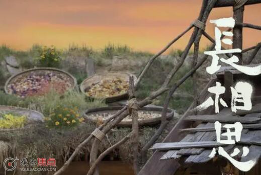 长相思第二季什么时候播年底吗