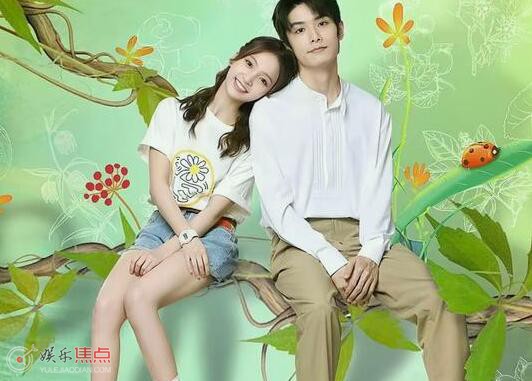 不一样的萧先生原著是什么