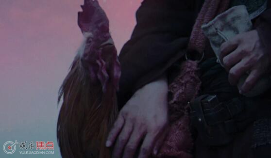 西出玉门里的几只鸡叫什么名字