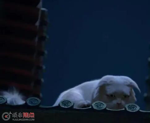 李饼为什么要喝药