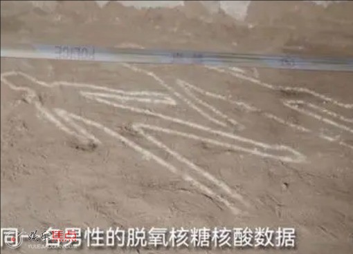 我是刑警4·19案件真相是什么
