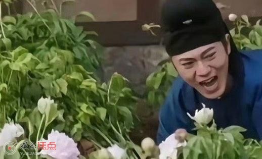 国色芳华皇上原型是谁