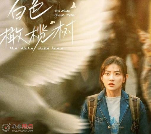 白色橄榄树是真实事件改编的吗