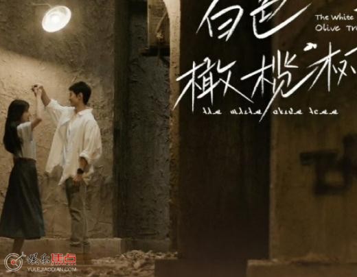 白色橄榄树是真实事件改编的吗